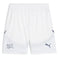 SFV Shorts Replica