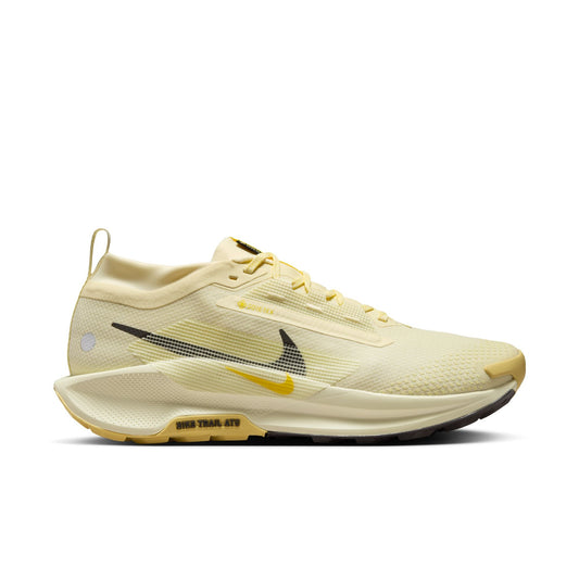 Nike Pegasus Trail 5 GORE-TEX Men's